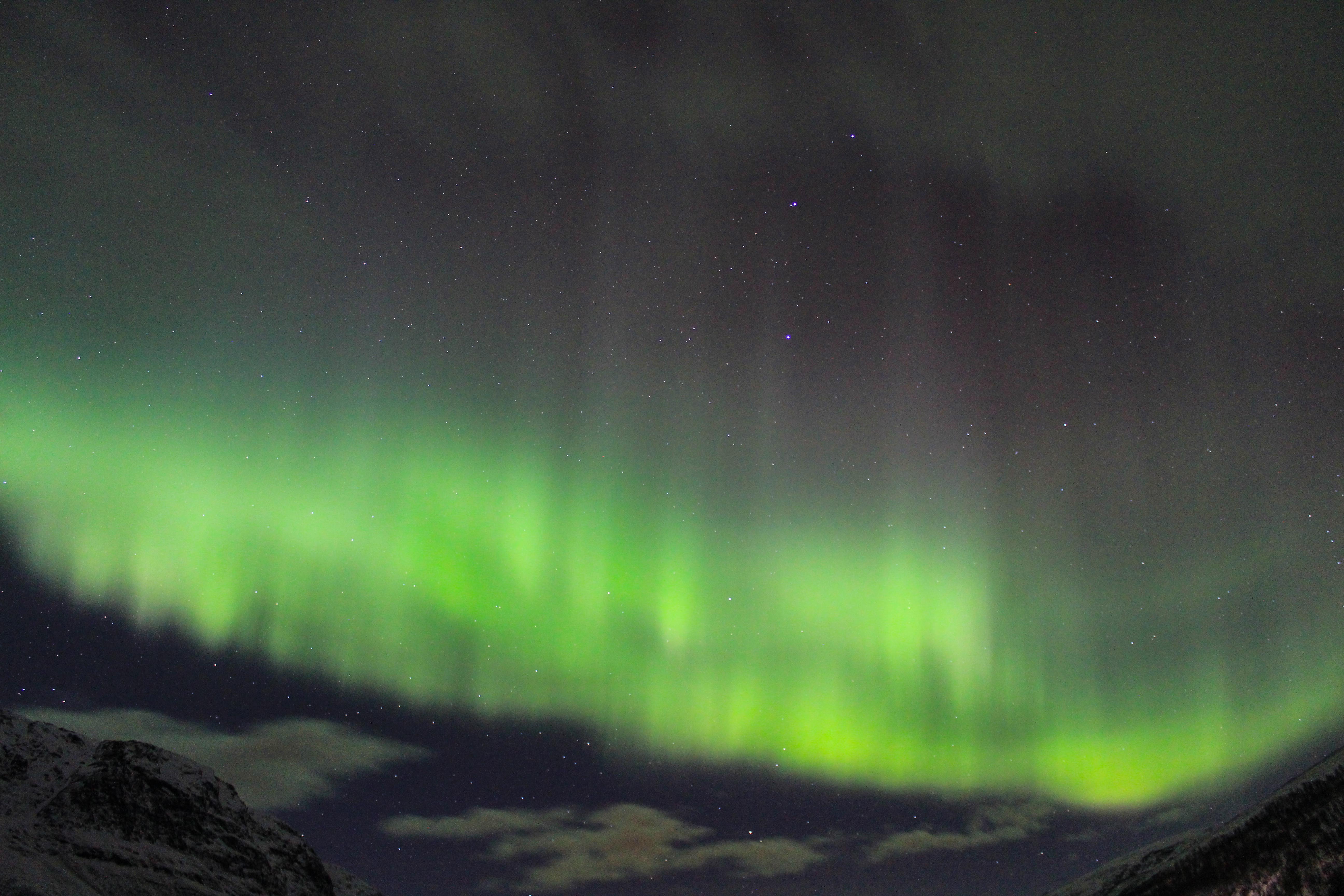 Nordlichter in Tromsø
