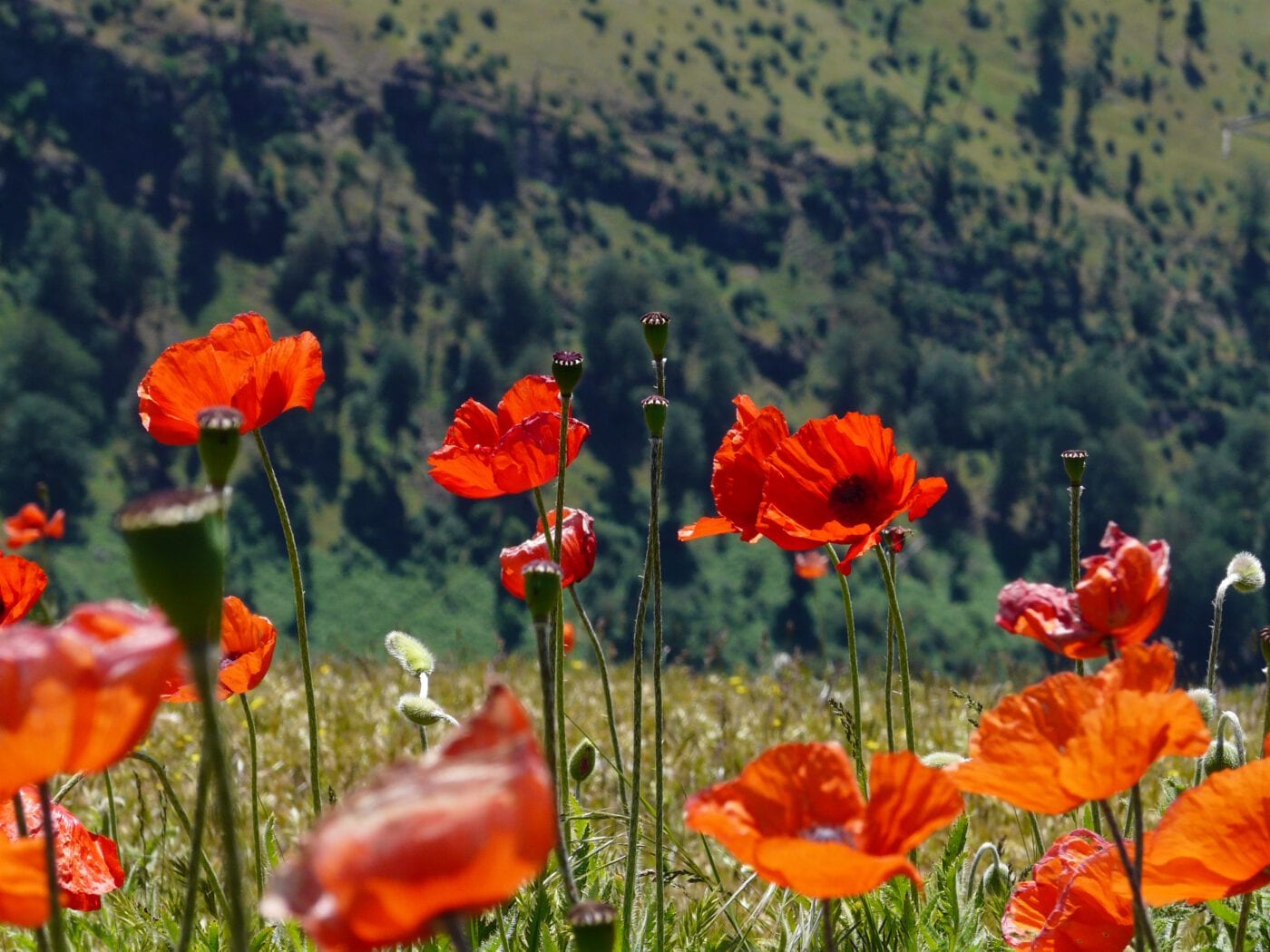 Freie Menstruation: Was ist das und für wen ist der Trend geeignet?