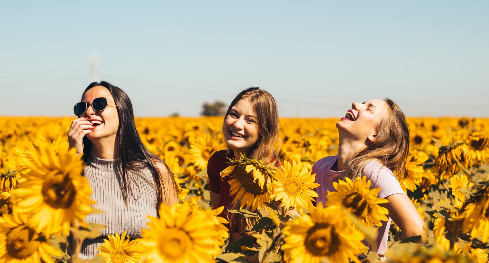 happy women in sun sunflowers