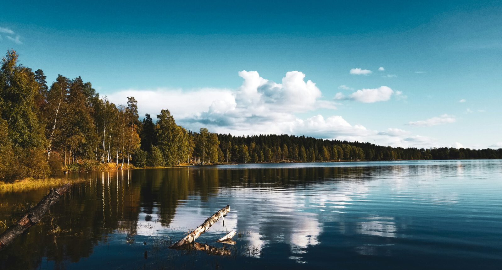 Wandern rund um Oslo: Sognsvann